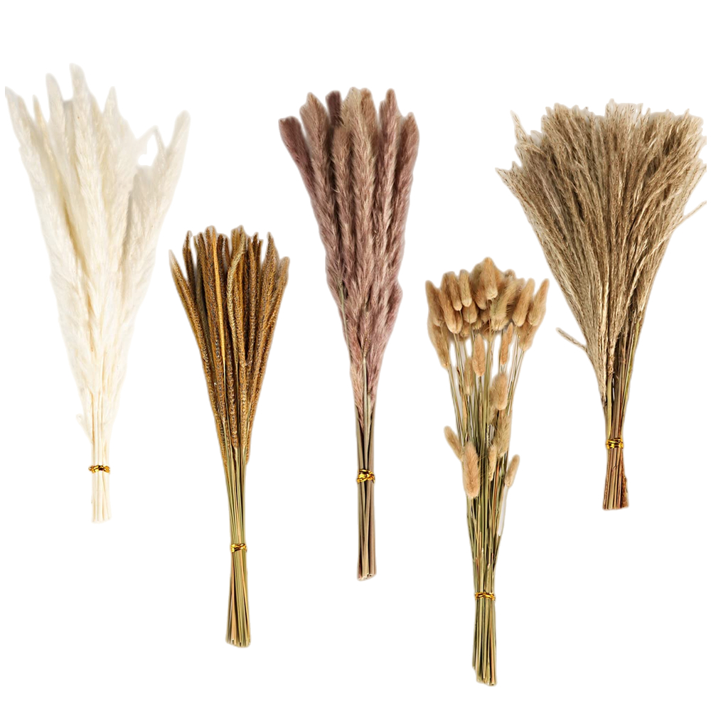 Autumn Vintage Mixed Dried Flo - Pampas Grass Decor review and price